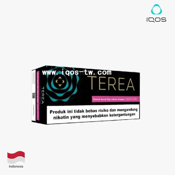 【翡翠薄荷】亞洲版Indonesia印尼ILUMA 煙彈 IQOS ILUMA專用 整條10包 三天到貨:圖片 3